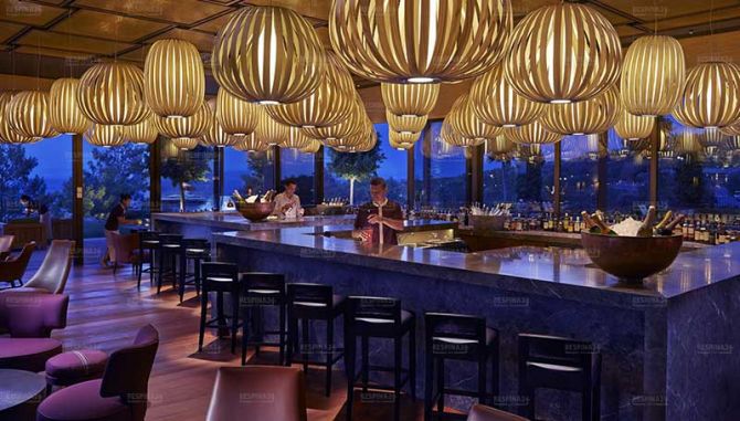 بلیط هواپیما استانبول به بدروم_رسپینا 24